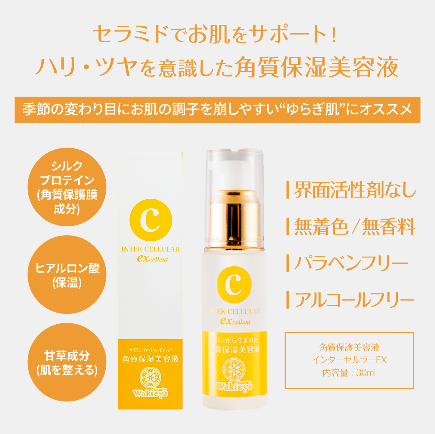 角質保湿美容液 インターセルラーEX