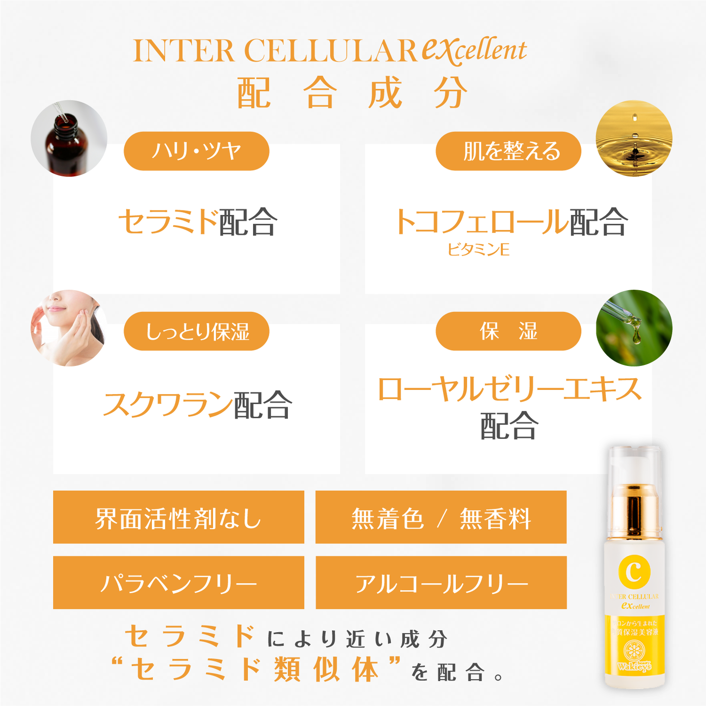 角質保湿美容液 インターセルラーEX